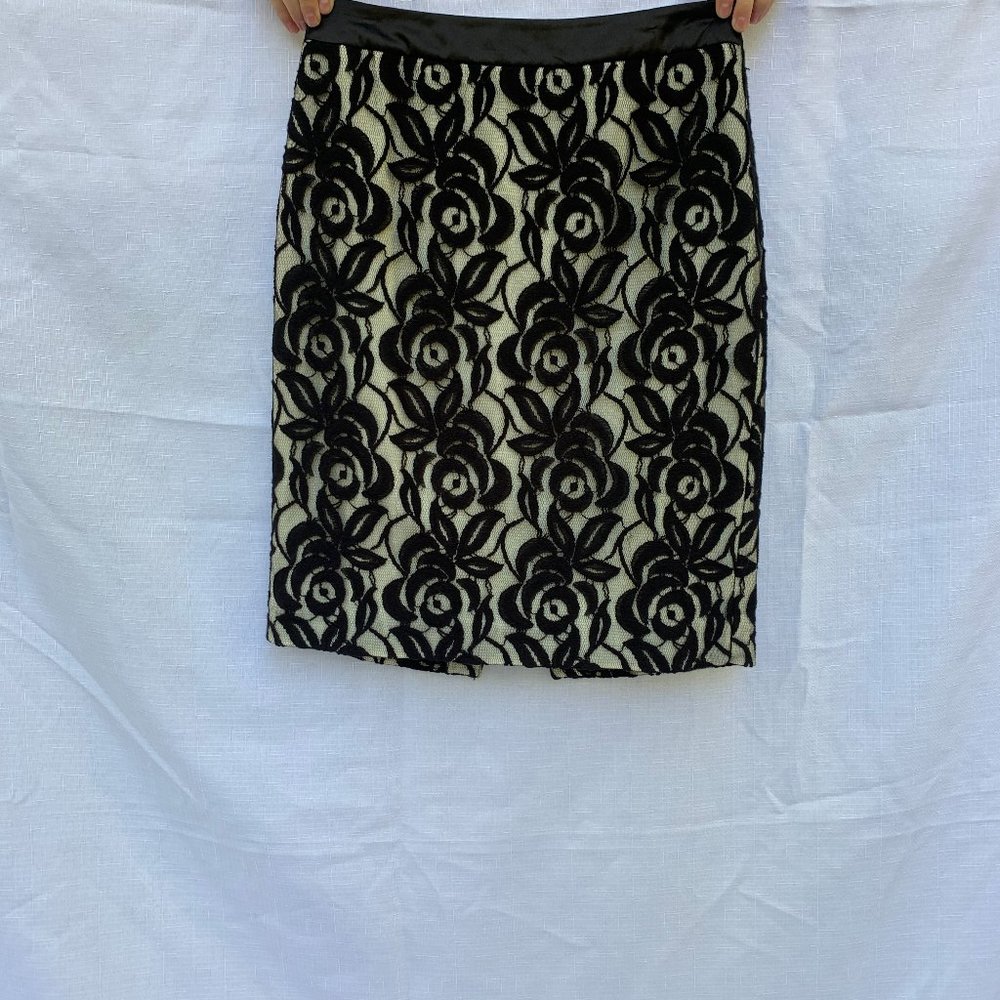 Anne Taylor lace cocktail skirt